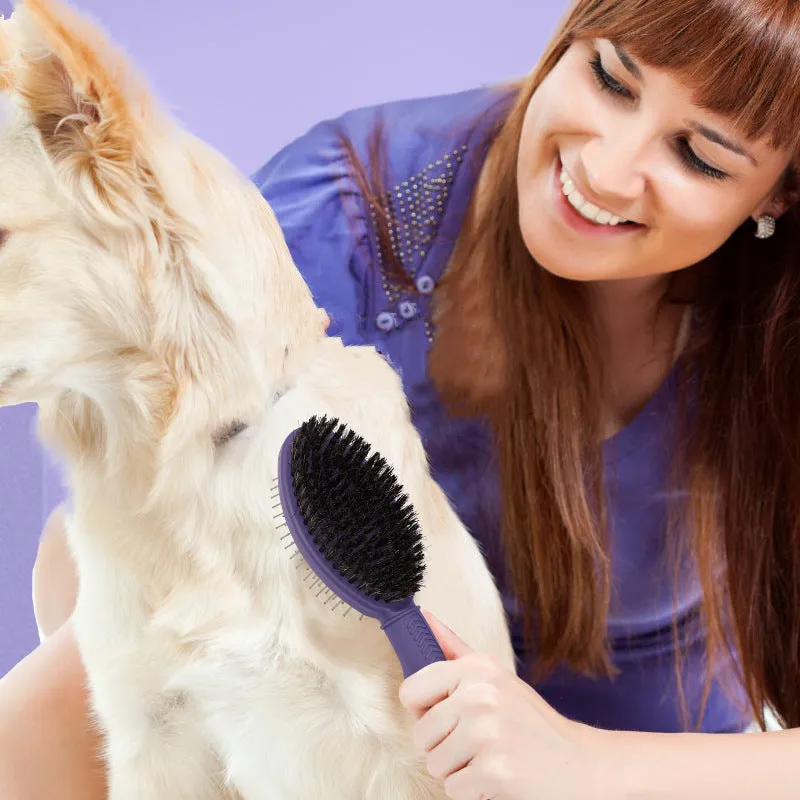 Double Sided Dog Comb