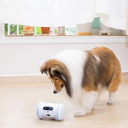 Fitness Robot Full Package: Treat Tossing,Interactive Moving Toy for Cats & Dogs