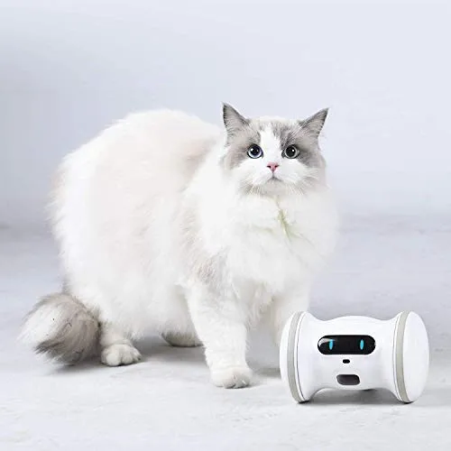 Fitness Robot Full Package: Treat Tossing,Interactive Moving Toy for Cats & Dogs